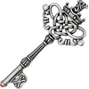 image:imageControse SilverToned Stainless Steel Monarch  Large Key Necklace