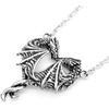 image:imageControse Womens SilverToned Stainless Steel Steamin Hot Love Dragon Heart Necklace with Pendant