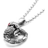 image:imageContrsoe 316L Stainless Steel Scorpion Skull Necklace w Red Crystal Eyed Pendant