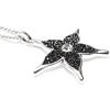 image:imageIlluminating Black Star Necklace